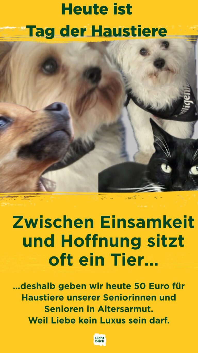 „Für viele ist es nur ein Haustier. Für unsere Senioren ist es ihr ganzes Herz.“ 🐾❤️

Am heutigen 11. April ist Tag der Haustiere.

Und wir sehen jeden Tag, was das wirklich bedeutet:
Ein leises Schnurren am Morgen.
Ein treuer Blick, der bleibt.
Ein kleines Wesen, das da ist, wenn sonst niemand mehr kommt.

Für viele unserer Seniorinnen und Senioren ist ihr Tier der einzige Halt.
Die einzige Nähe.
Der einzige Grund, morgens aufzustehen.

Doch wenn die Rente kaum reicht, wird selbst Tierliebe zur Belastung.
Futter, Tierarzt, Impfungen - und plötzlich ist alles zu viel.

Deshalb setzen wir genau hier an:

Zum Tag der Haustiere schenken wir unseren Seniorinnen und Senioren mit Tier 50 Euro Unterstützung.

Du siehst:
Es geht nicht nur um ein Tier.
Es geht um Würde.
Um Nähe und um einen kleinen Lichtblick ✨

Dankbare und rührende Mails, Anrufe und Briefe haben uns schon erreicht. Wir freuen uns sehr über die lieben Zeilen 🫶🏼

Hilf uns bitte, genau das zu schützen. 🐾 🐇🐕 🐈‍⬛ 🦜 
👇
https://seniorenhilfe-lichtblick.de/fuerspender/tierprojekt/

#tagderhaustiere #tagderhaustierfotos #lichtblickseniorenhilfe #tieremachenglücklich